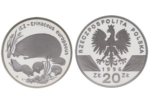 20 zł - Jeż (łac. Erinaceus europaeus) -1996 r